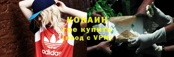 хмурый Верея