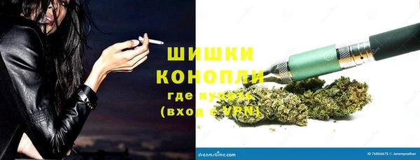 молекула духа Бугульма