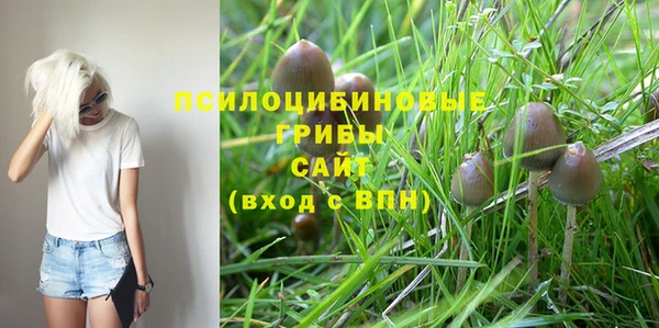 молекула духа Бугульма