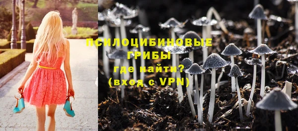молекула духа Бугульма