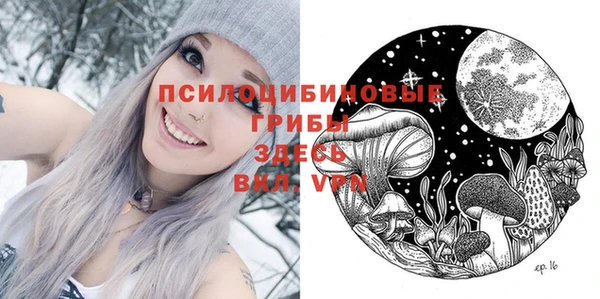 не бодяженный Бородино
