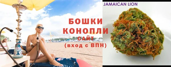 не бодяженный Бородино